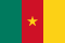 Flag Cameroon
