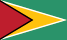 Flag Guyana